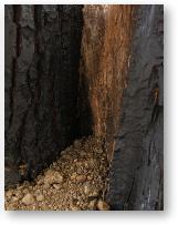 danielballweg-button-erdkrper