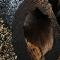 erdk�rper 11